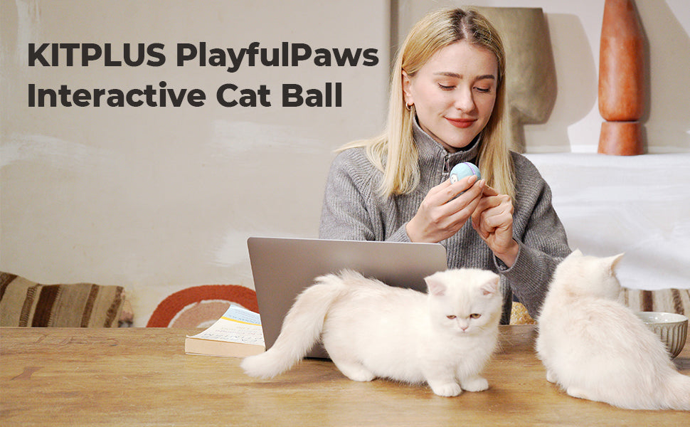 Playful Paws Interactive Cat Ball