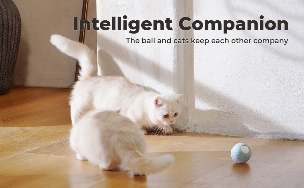 Playful Paws Interactive Cat Ball